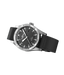 Fortis Flieger F-41